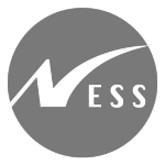 Ness Technologies